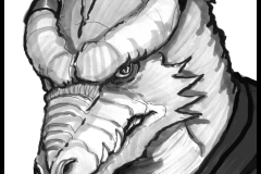 Nyx, Dragonborn Druid