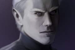 Sorn, Champion of the Raven Queen